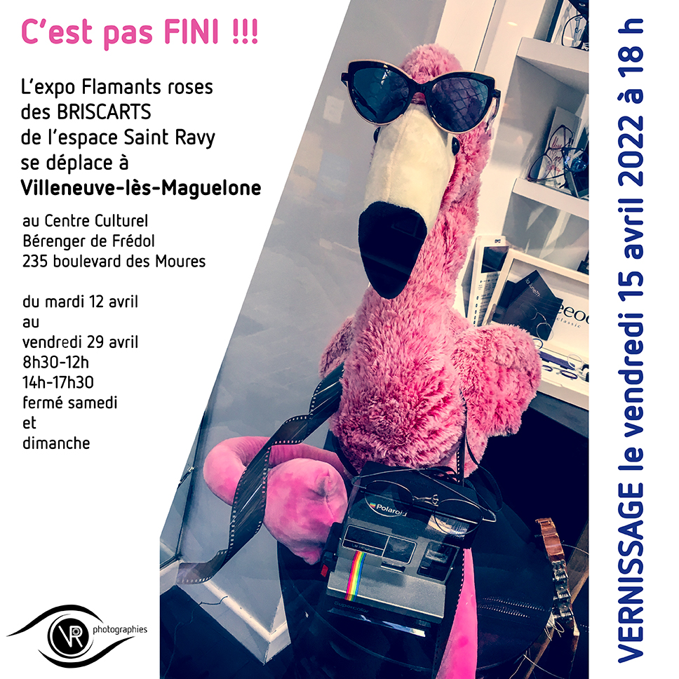 affichette annoncant l'expo Flamants roses des BRISCARTS qui va à Villeneuve les Maguelones