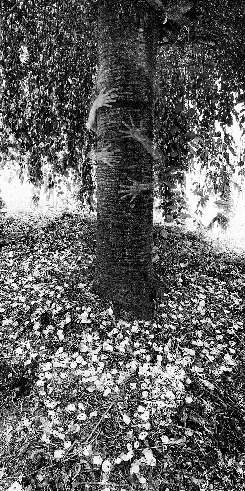 l'étreinte Intemporelle