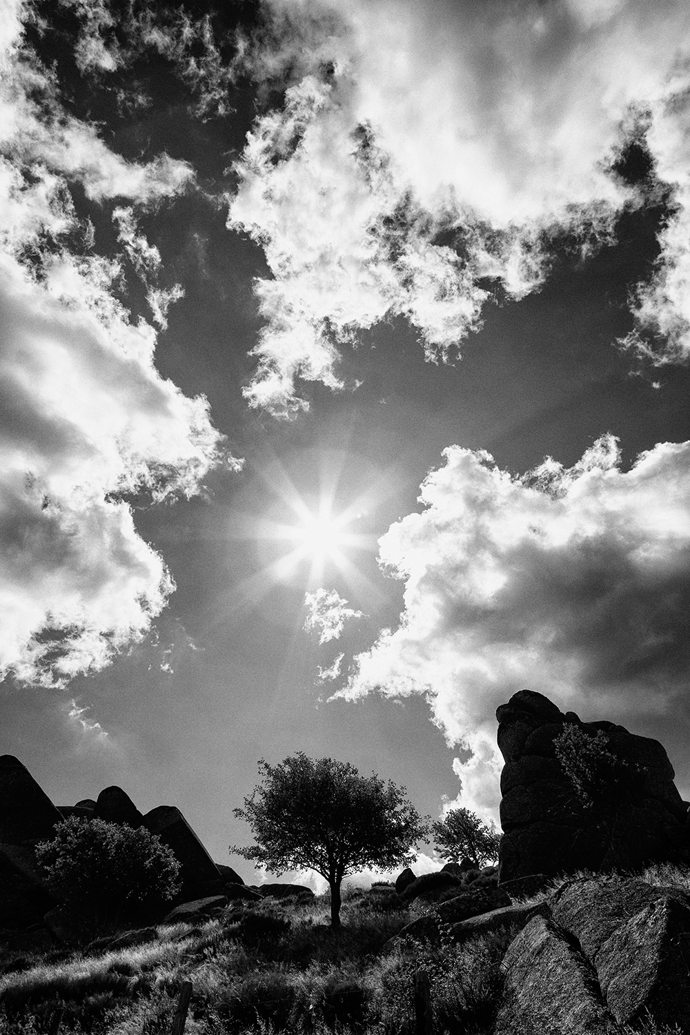 Dans l'axe du bien et du mal - Lozère 2021