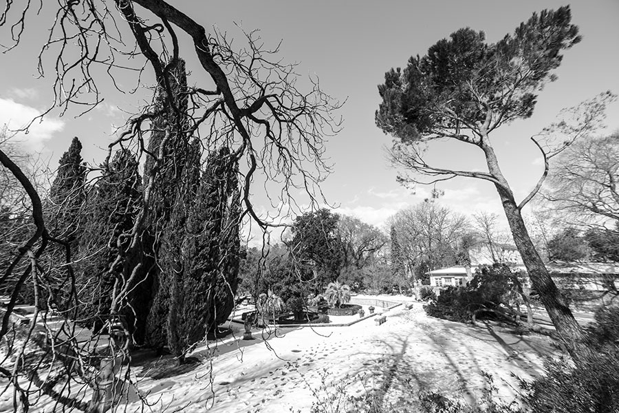 Montpellier sous la neige, Le Jardin des Plantes - 02 mars 2018