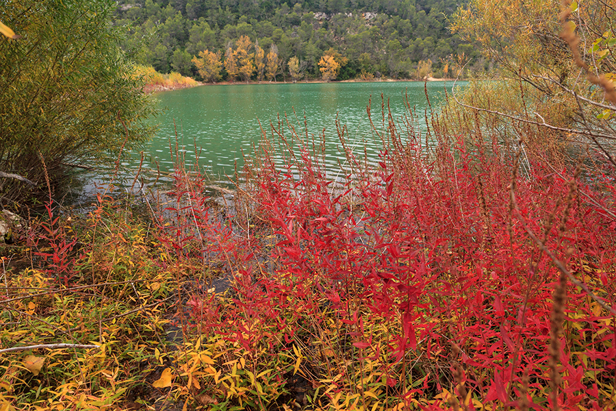 Lac de Cecelès - Hérault - Languedoc Roussillon