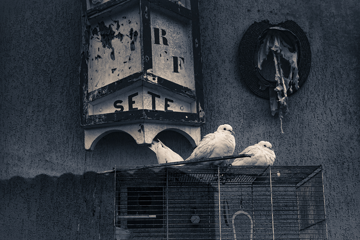 Sète, La Pointe Courte, derrière la baie vitrée