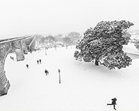 photo de l'album Montpellier sous la neige de Véronique Rivera, Artiste Photographe et Photographe Free Lance à Montpellier