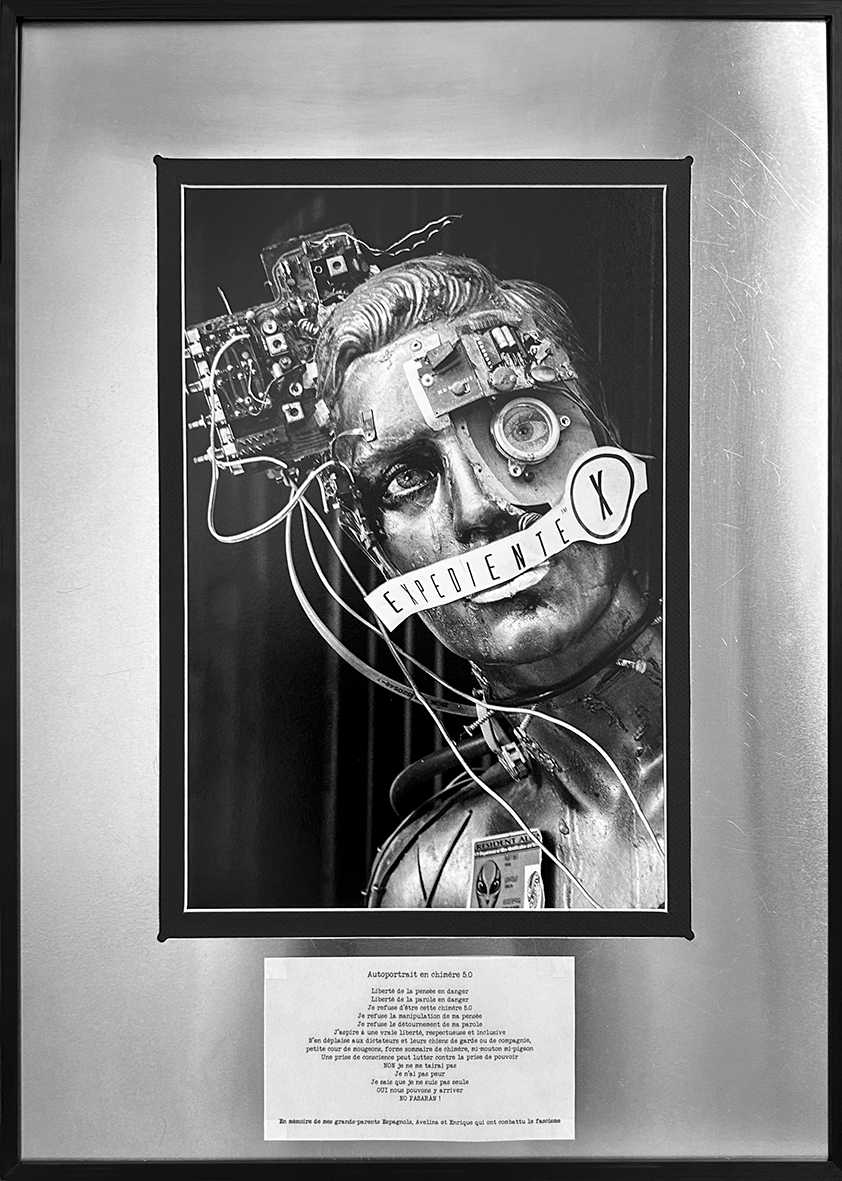 Autoportrait en chimère 5.0 encadrée