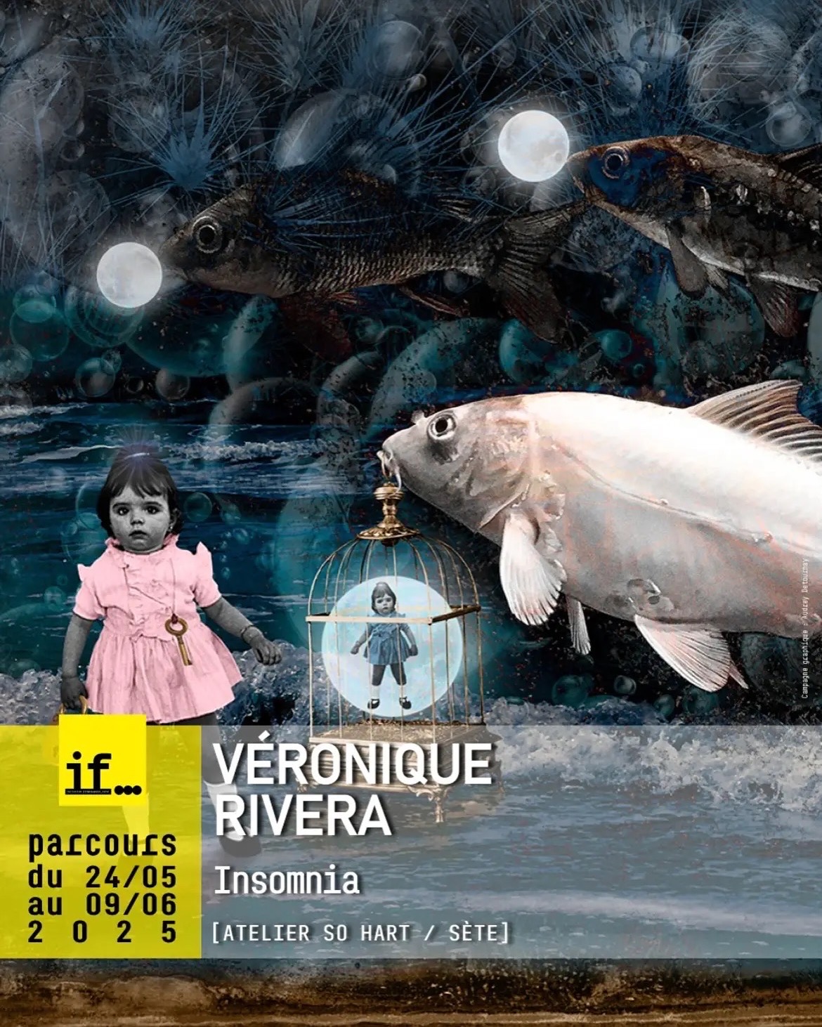 Sète arrivé près de chez nous de Véroniqure Rivera