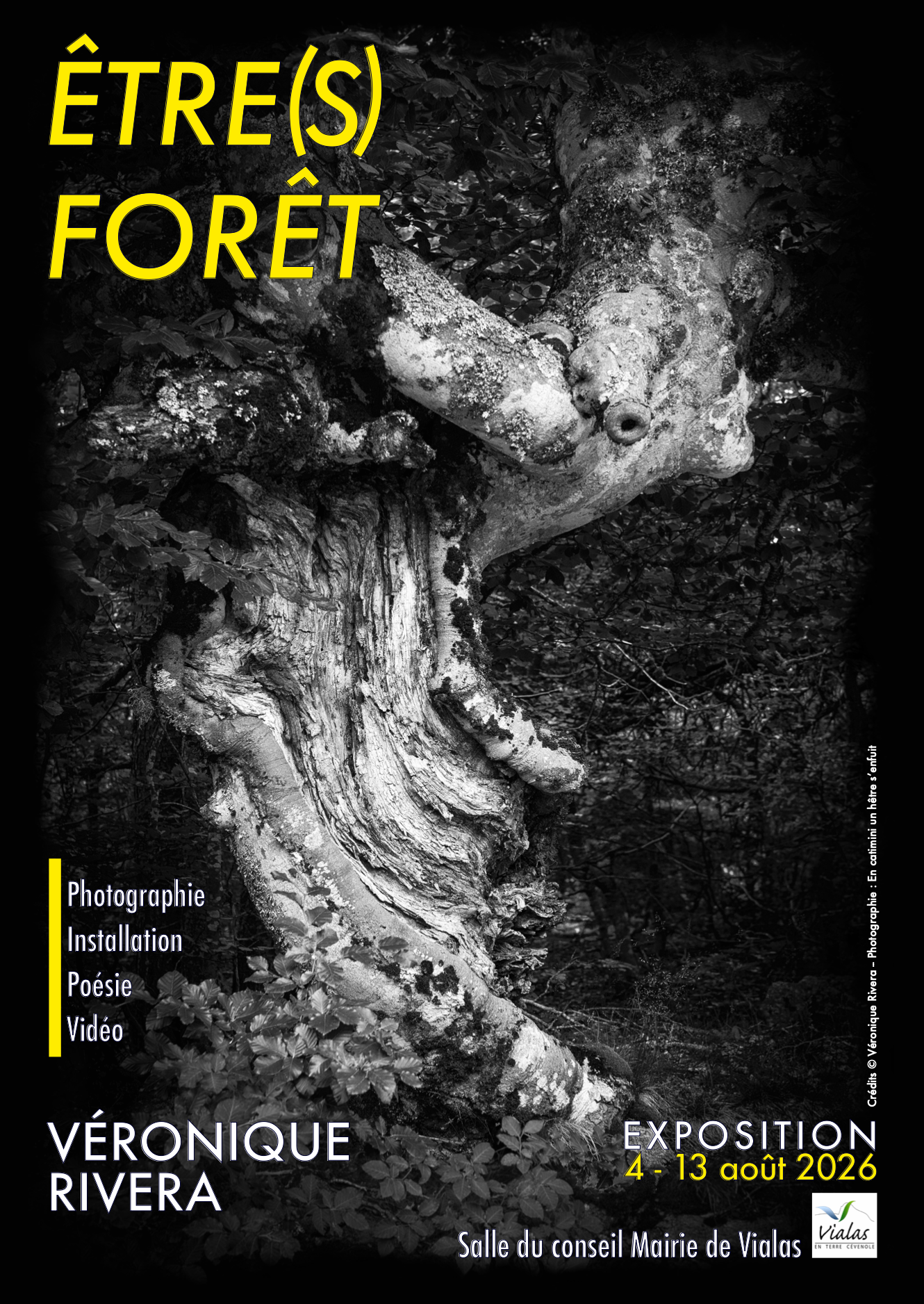 Affiche de l'expo ÊTRES FORÊT